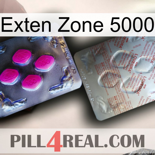 Exten Zone 5000 38.jpg